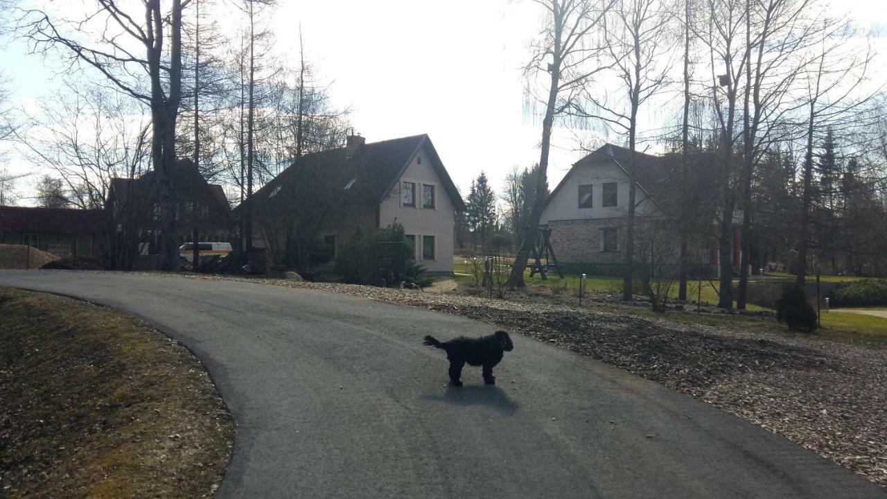 Holiday Home Ermine Sigulda Zewnętrze zdjęcie